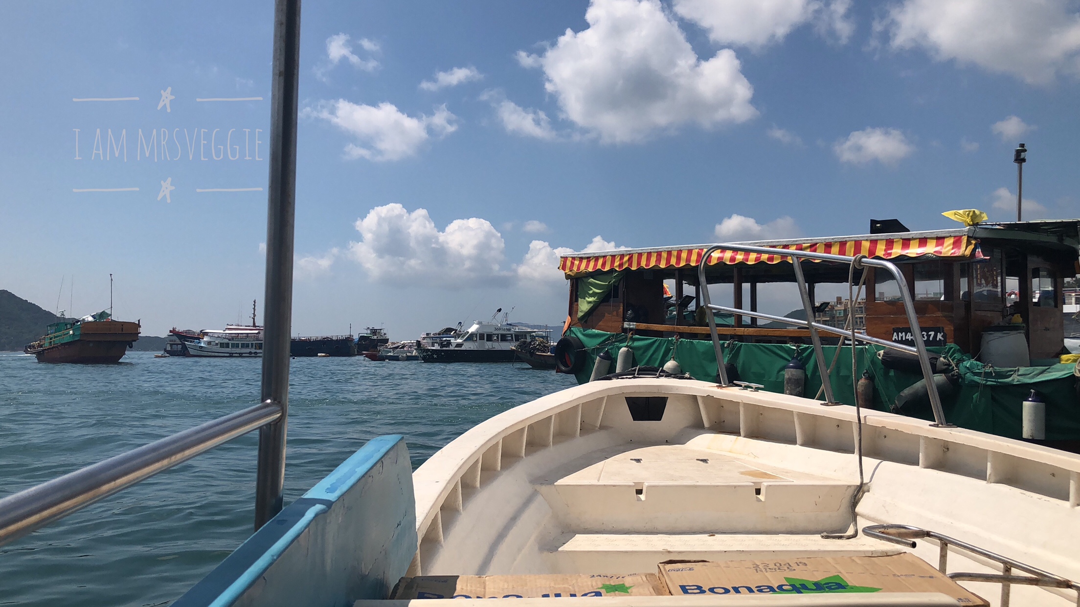 11f3bdad-c913-4492-8671-38d12abb5a5a